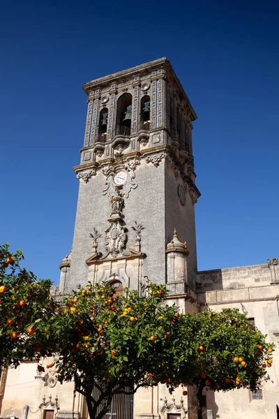 Basilika Santa Maria Asuncion Och Apelsinträd Det Kyrka Arcos Frontera — Stockfoto