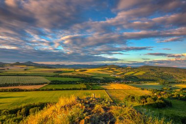 Çek Cumhuriyeti 'nin Merkez Bohem Tepeleri' ndeki şato harabelerinin manzarası. Yaz manzarası. HDR Resmi.
