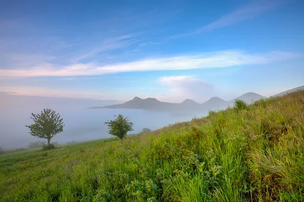 Εαρινό Τοπίο Στην Ομίχλη Πρωί Central Bohemian Upland Τσεχία — Φωτογραφία Αρχείου