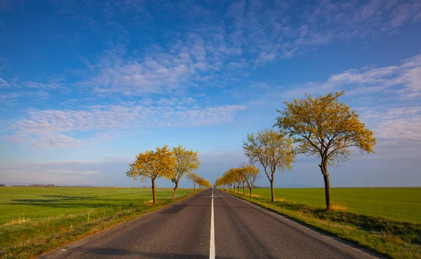 Landelijke Asfaltweg Tussen Velden Bij Geweldige Zonsopgang Midden Boheemse Hooglanden — Stockfoto