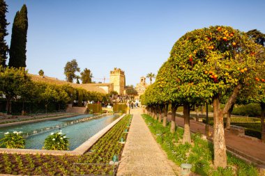 Cordoba, İspanya - 11 Şubat 2022: Cordoba Alcazar 'daki bahçede akşam. Kale Kastilya ve Ferdinand II.
