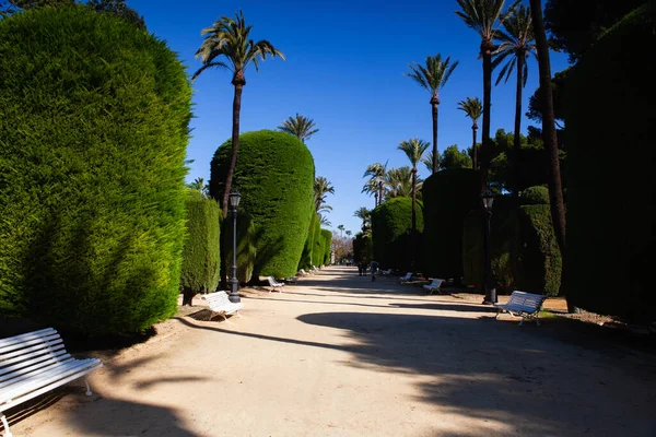 Cadiz Spanien Februar 2022 Genoves Park Botanischer Garten Cadiz Andalusien — Stockfoto