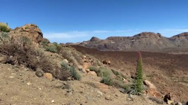 Teide Ulusal Parkı 'ndaki manzara Tenerife' de, Spains Kanarya Adaları 'nın en büyüğü. Adını İspanya 'nın en yüksek zirvesi olan Teide Dağı' ndan almıştır.