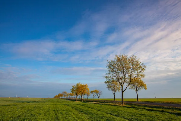 Rural Asphalt Road Fields Amazing Sunrise Central Bohemian Highlands Czech — Stockfoto