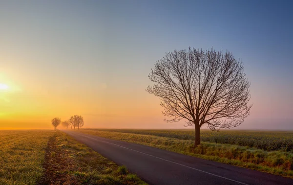 Landscape Spring Fog Central Bohemian Highlands Czech Republic Road Morning — ストック写真