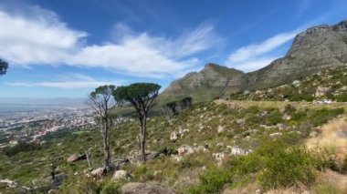 Güney Afrika 'daki Masa Dağı' nın altından Cape Town manzarası