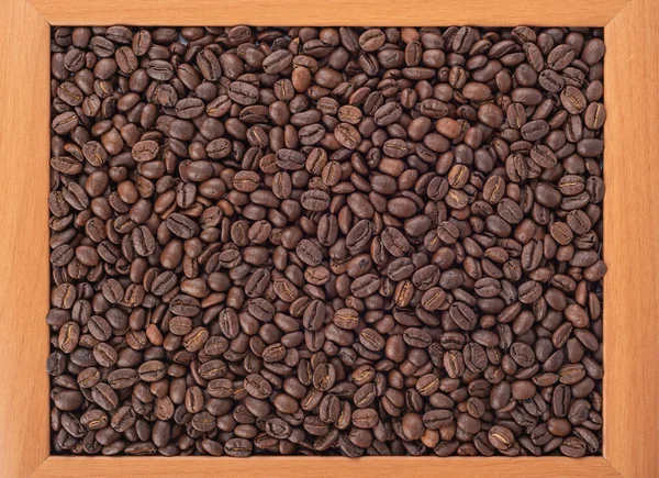 Coffee beans in a wooden frame, abstract background. — Stock Photo, Image