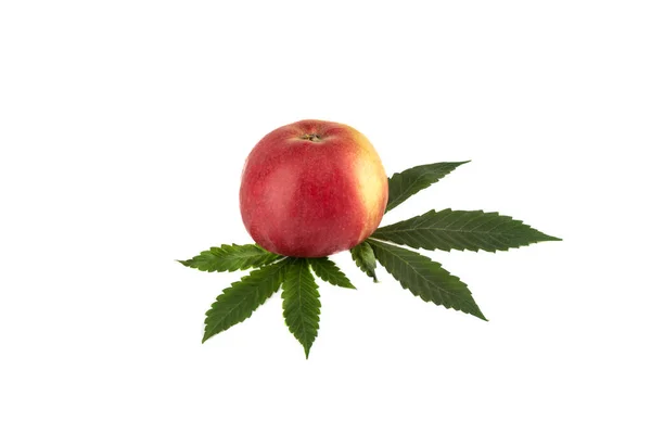 Ώριμο Μήλο Και Φύλλα Μαριχουάνας Λευκό Φόντο Αντιγραφή Χώρου — Φωτογραφία Αρχείου