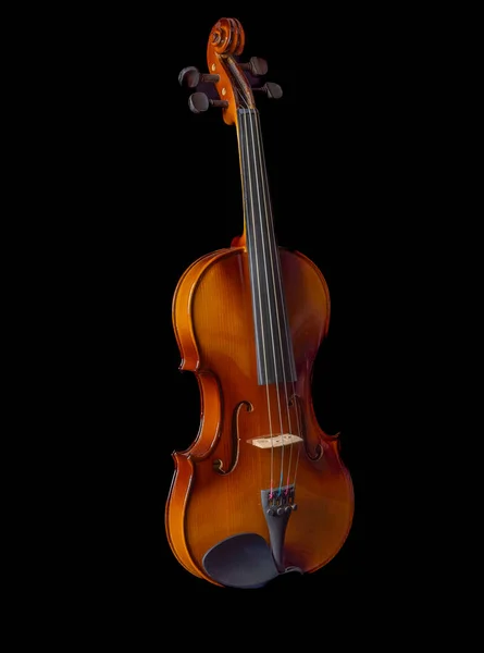 Luce e ombre sul corpo del violino. — Foto Stock