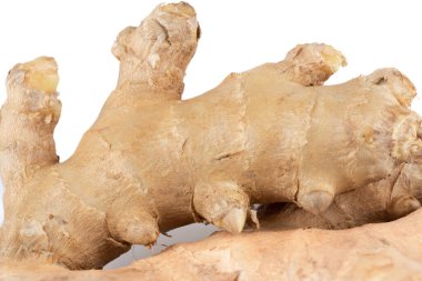 Closeup of fragrant unpeeled ginger root on a white background. Healthy food concept.