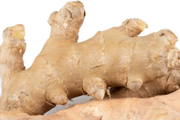 Closeup Fragrant Unpeeled Ginger Root White Background Healthy Food Concept — Stockfoto