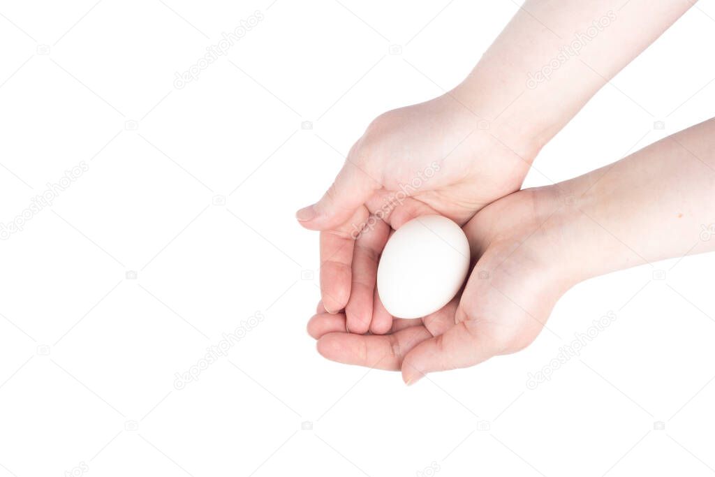 White chicken egg in female palms over white background.