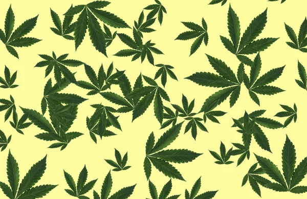 Bakgrund Marijuanablad Form Blad Faller Gul Bakgrund Kopiera Utrymme — Stockfoto