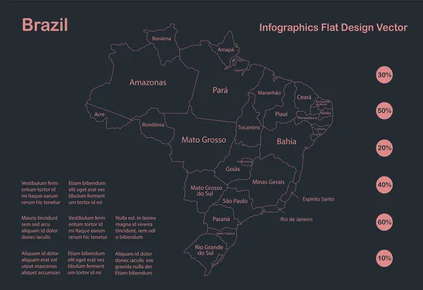 Infografías Brasil Esquema Del Mapa Diseño Plano Color Azul Vector — Vector de stock