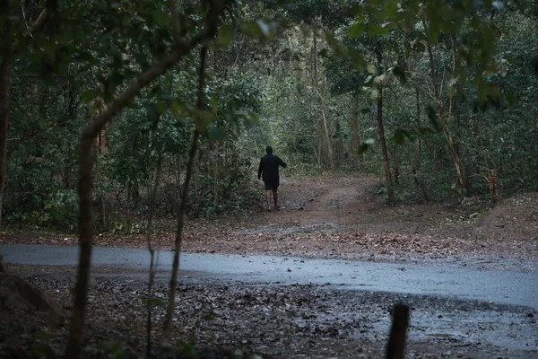 Silhouette Man Forest — Stock Photo, Image