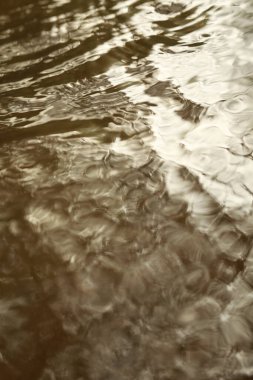 Su Akan Doku Makro Çekimi