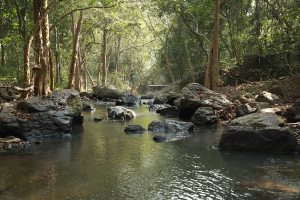 Air Mengalir Melalui Batu Berlumut Hutan — Stok Foto