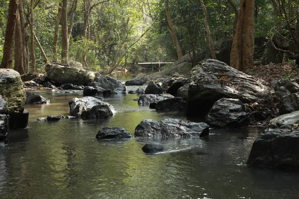 Air Mengalir Melalui Batu Berlumut Hutan — Stok Foto