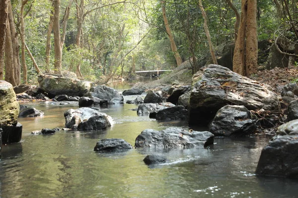 Air Mengalir Melalui Batu Berlumut Hutan — Stok Foto