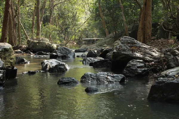 Air Mengalir Melalui Batu Berlumut Hutan — Stok Foto