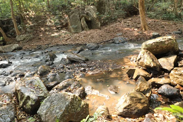 Water Stromend Door Mossige Rotsen Het Bos — Stockfoto