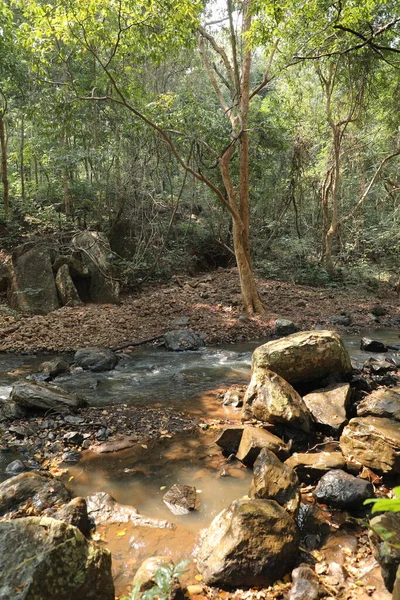 Air Mengalir Melalui Batu Berlumut Hutan — Stok Foto