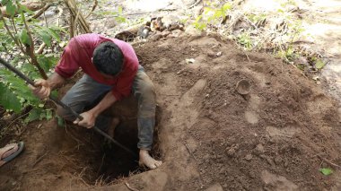 Ormandaki Derin Delik