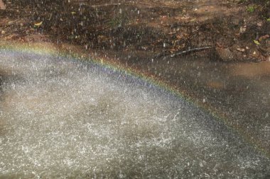 Orman suyunda gökkuşağı