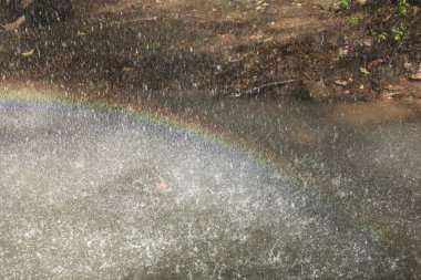 Orman suyunda gökkuşağı