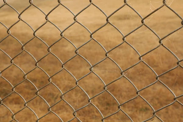 Spider Web Metal Fence — Stock Photo, Image