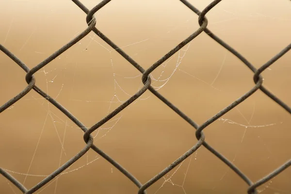 Spider Web Στο Μεταλλικό Φράχτη — Φωτογραφία Αρχείου