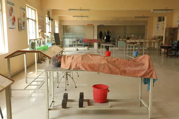 Ludzkie Laboratorium Anatomiczne Szpitalu — Zdjęcie stockowe
