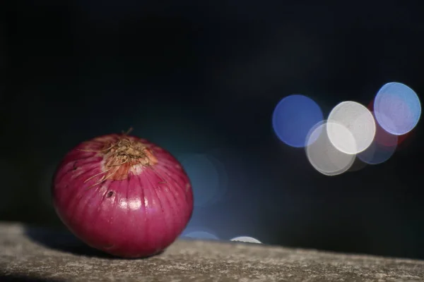 Vegetabilisk Lök Bordet — Stockfoto