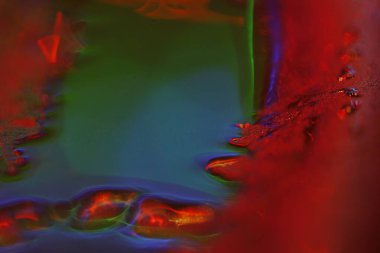 Bulanık Su Doku Makro Çekimi