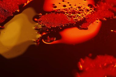 Bulanık Su Doku Makro Çekimi