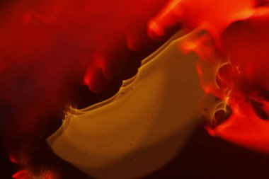 Bulanık Su Doku Makro Çekimi