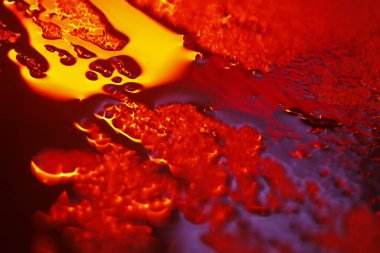 Bulanık Su Doku Makro Çekimi