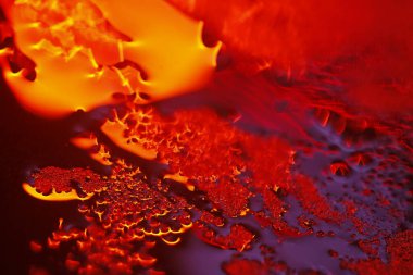 Bulanık Su Doku Makro Çekimi