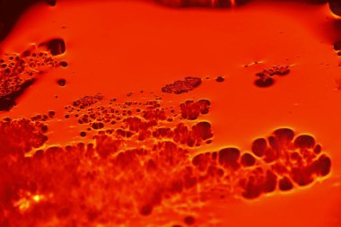 Bulanık Su Doku Makro Çekimi