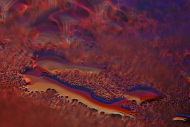 Bulanık Su Doku Makro Çekimi