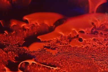 Bulanık Su Doku Makro Çekimi