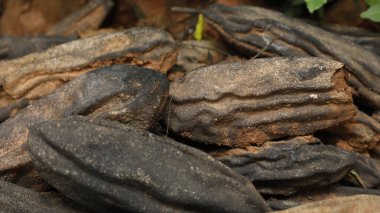 Hint İlaçlı Kuru Meyveler yakın plan.