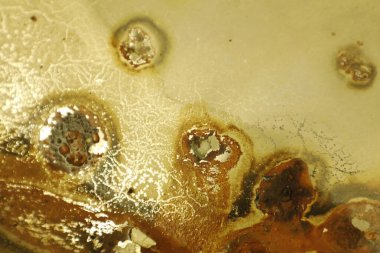 Eski Boyalı Makro Doku Özeti