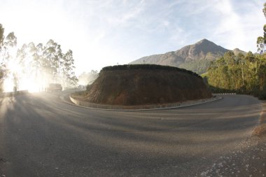 Turist Konumu Munnar Kerala Hindistan