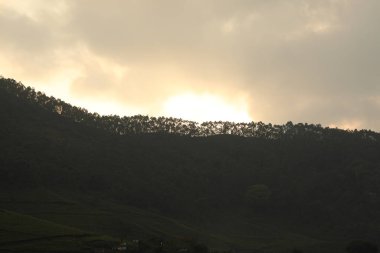 Turist Konumu Munnar Kerala Hindistan