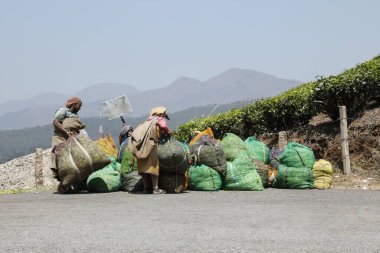 Çay Çiftliği İşçileri Foarm Munnar Kerala 6 Mart 2022