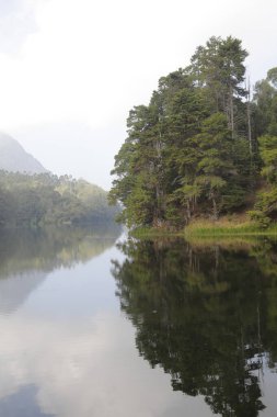 Turist Konumu Munnar Kerala Hindistan