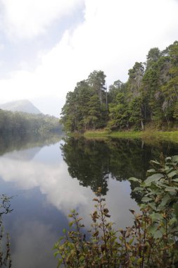 Turist Konumu Munnar Kerala Hindistan
