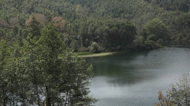 Turist Konumu Munnar Kerala Hindistan