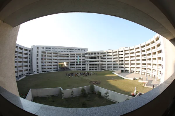 Studenti Medicina Nel Campus Collage — Foto Stock